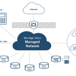 Managed hosting popularity ntx ims computerworld desk dependability uptime
